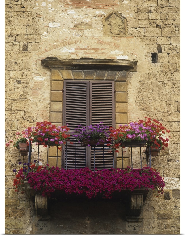 Flower Covered Balcony, Colle Di Val D'Elsa Italy