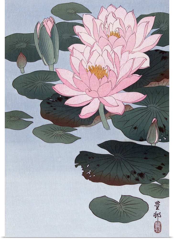 Flowering Water Lily. After a print by Japanese artist Ohara Koson, 1877 - 1945. He was born Ohara Matao, and signed his w...