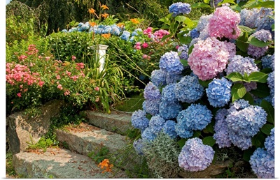 Flowers in a Cape Cod garden with stone steps.; Sandwich, Cape Cod, Massachusetts.