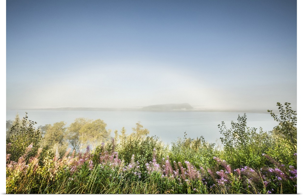 Fog bow over Lake Superior's north shores with wildflowers in the foreground; Nipigon, Ontario, Canada