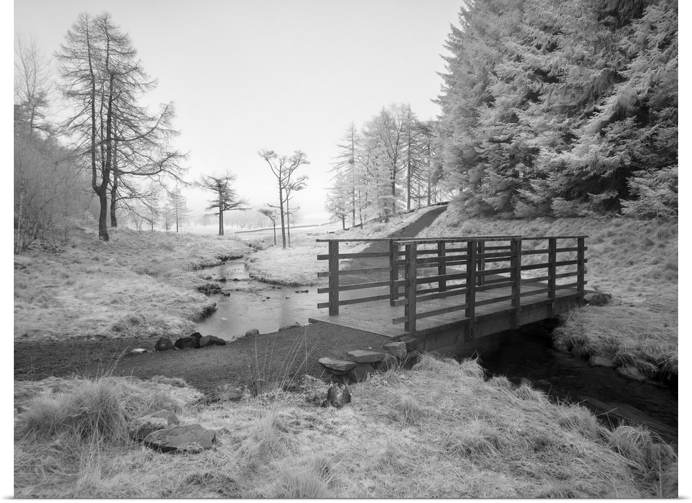 An infrared image of the footbridge over Bleamoss Beck just below Blea Tarn in the Lake District National Park.