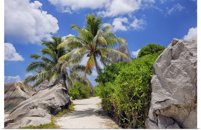 Footpath Through Rocks And Palm Trees, Anse Source DoArgent, La Digue, Seychelles