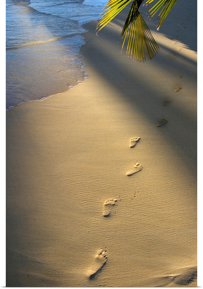 Vertical photograph on a large wall hanging of a single row of footprints in the sand, near the shoreline.  The sun shines...