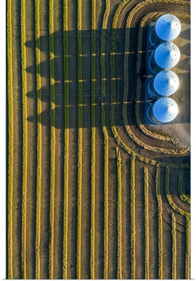 Four Large Metal Grain Bins And Canola Harvest Lines At Sunset, Alberta, Canada