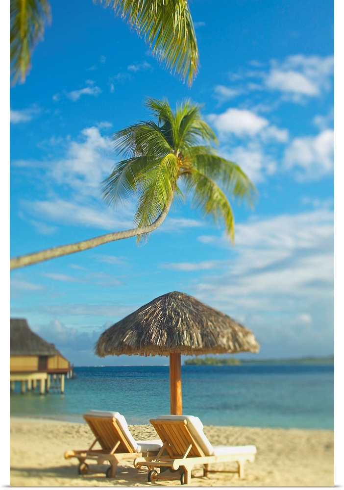 Photograph taken of two beach chairs and an umbrella sitting on a beach in Tahiti. A palm tree stretches out and hangs ove...