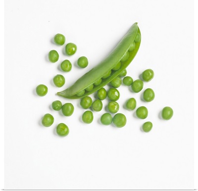 Fresh Green Peas From The Pod