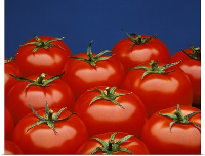 Fresh market tomatoes