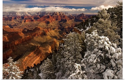 Fresh snow at the South Rim, Grand Canyon National Park, Arizona