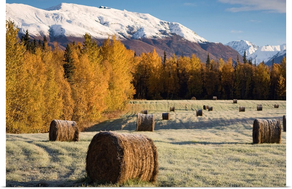Frost clings to bails of hay in a field near Palmer, Alaska on an early Autumn morning
