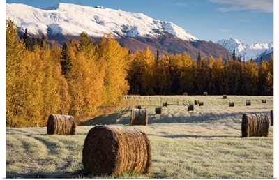Frost clings to bails of hay in a field near Palmer, Alaska on an early Autumn morning