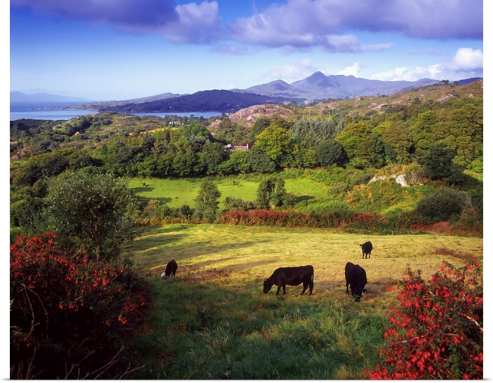 Glengarriff, Beara Peninsula, County Cork, Ireland