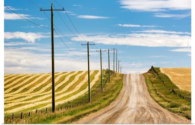 Gravel road with wooden electrical poles and a grain field, Alberta, Canada