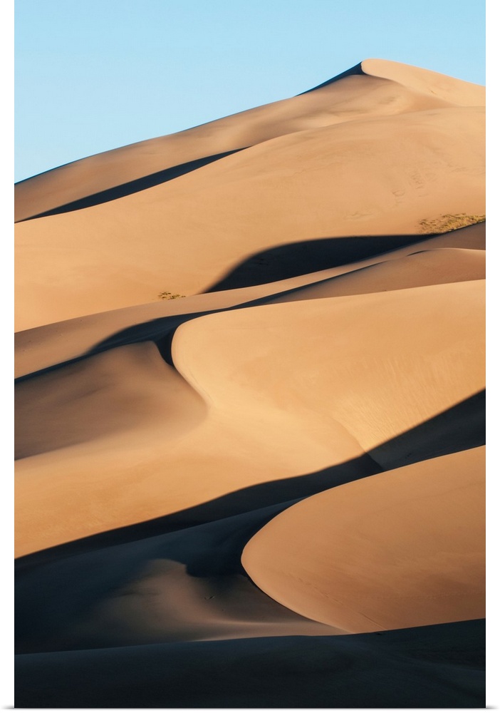 Sand dunes in morning light, Great Sand Dunes National Park. Colorado, United States of America.