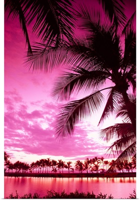 Hawaii, Big Island, Anaeho'omalu Bay, Sunset With Palm Trees