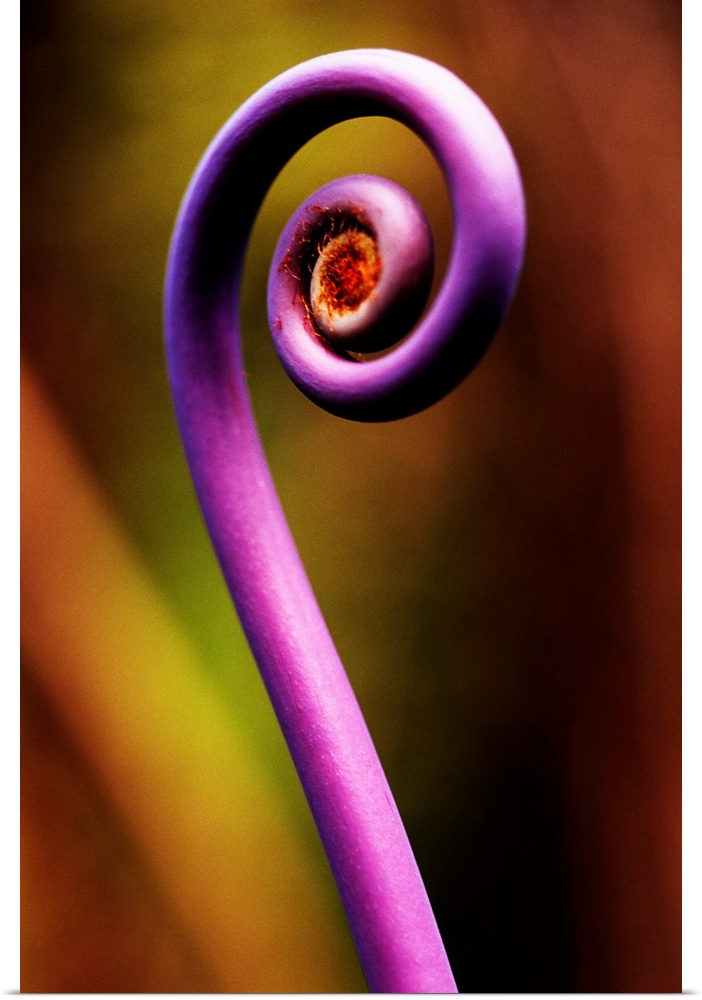 A purple stem is photographed very closely with the background pictured out of focus.