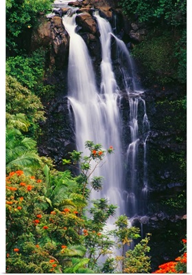 Hawaii, Big Island, Hamakua Coast, Nanue Falls Surrounded By Orange African Tulip Tree