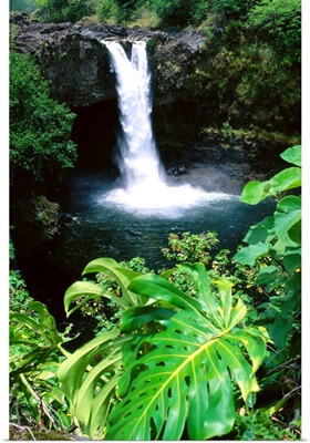 Hawaii, Big Island, Hilo, Rainbow Falls State Park, Greenery Surrounding
