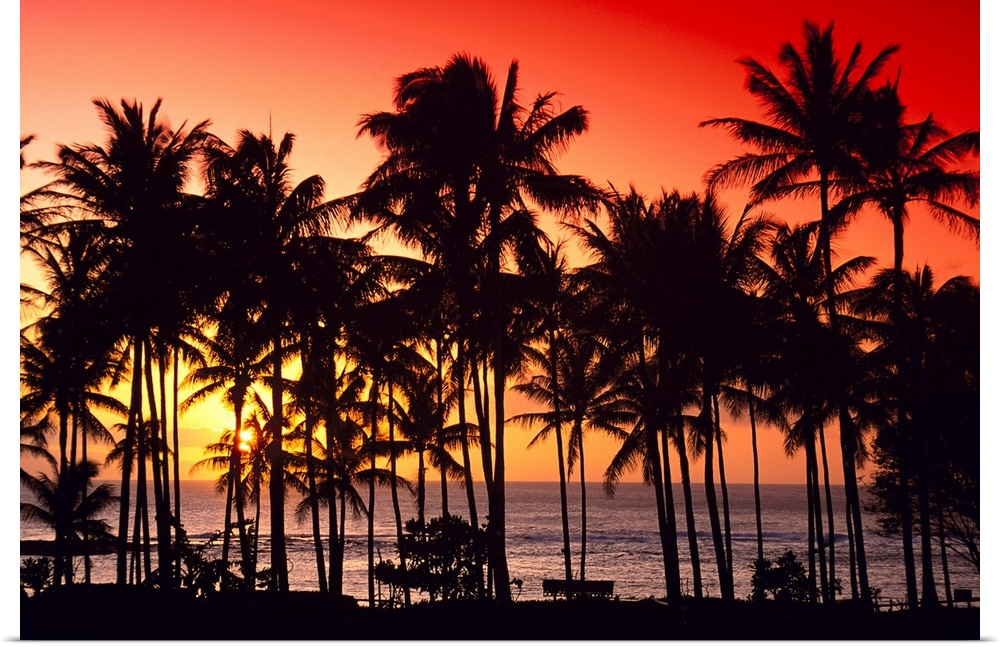 Hawaii, Big Island, Kohala Coast, Red Sunset, Orange Sky, Palms