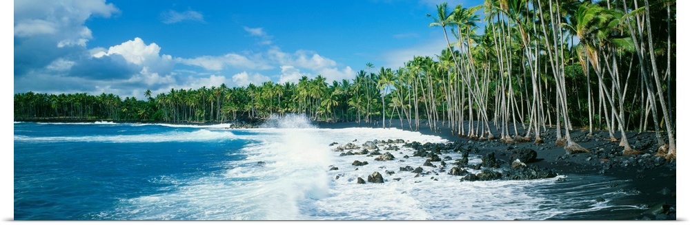 A large panoramic view of the coast of Hawaii with palm trees lining the dark sand and waves crashing onto the rocks.