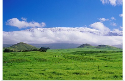 Hawaii, Big Island, Waimea, View Of Snowcapped Mauna Kea From Lush Rolling Hills Below