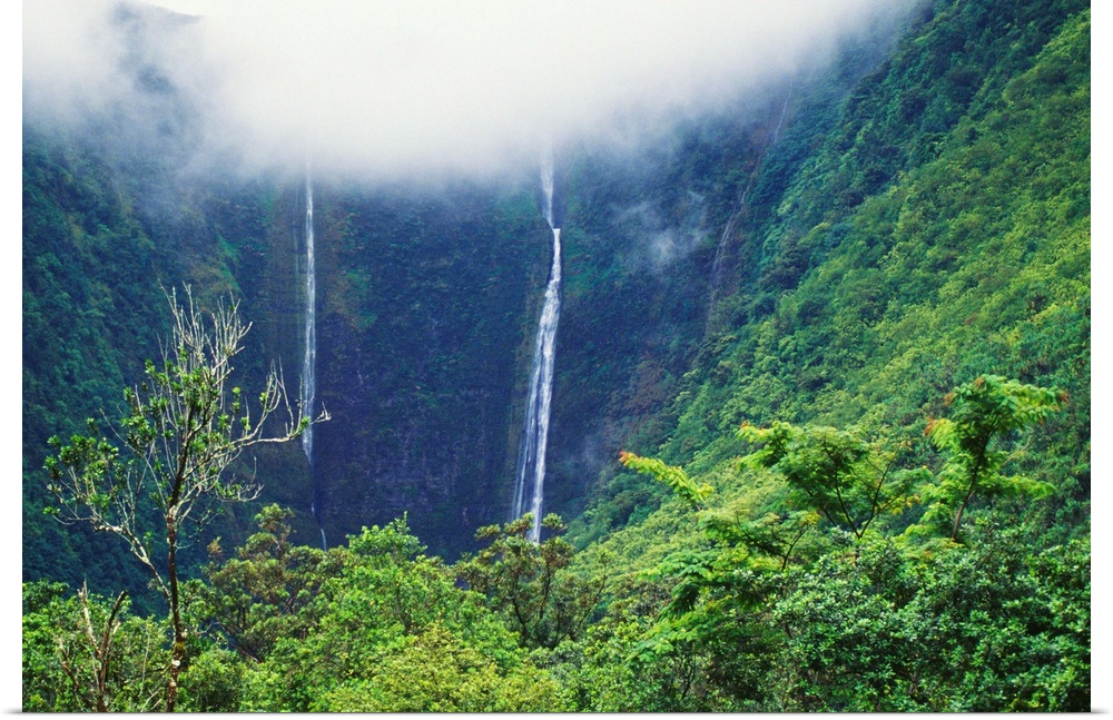 Hawaii, Big Island, Waipio Valley, Twin Waterfalls With Lush Green Forest