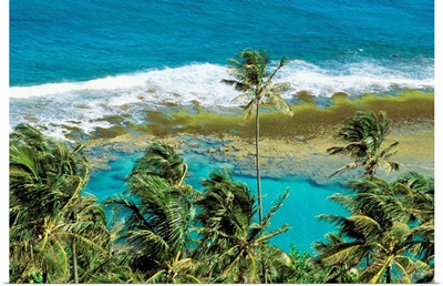 Hawaii, Kauai, Napali Coast, Palm Trees, Ocean With Breaking Waves