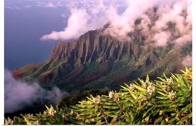 Hawaii, Kauai, North Shore, Kalalau Valley With Yellow Ginger
