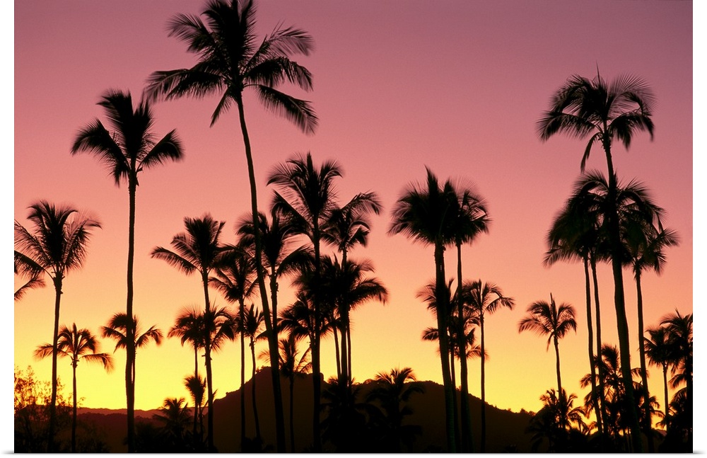 Hawaii, Kauai, Sleeping Giant And Coconut Grove At Sunset