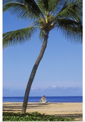 Hawaii, Lanai, Manele Bay Beach Park, Palm Tree And Woman On The Beach
