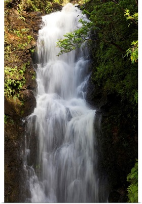 Hawaii, Maui, Hana, A Waterfall Surrounded By Lush Bamboo Plants