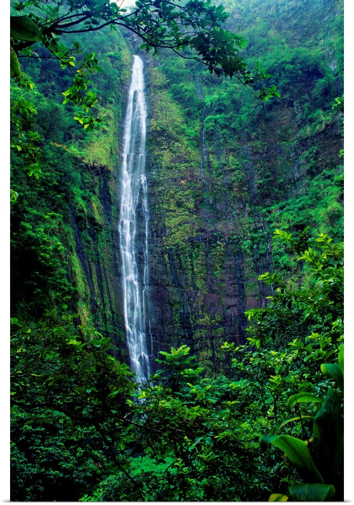 Hawaii, Maui, Hana, Oheo Gorge, Waimoku Falls, And Rainforest