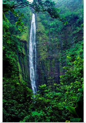 Hawaii, Maui, Hana, Oheo Gorge, Waimoku Falls, And Rainforest