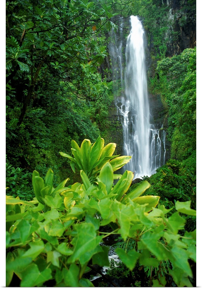 Hawaii, Maui, Hana, Wailea Falls Cascading