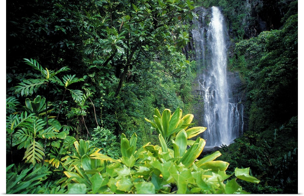 Hawaii, Maui, Hana, Wailea Falls, Surrounded By Lush Greenery