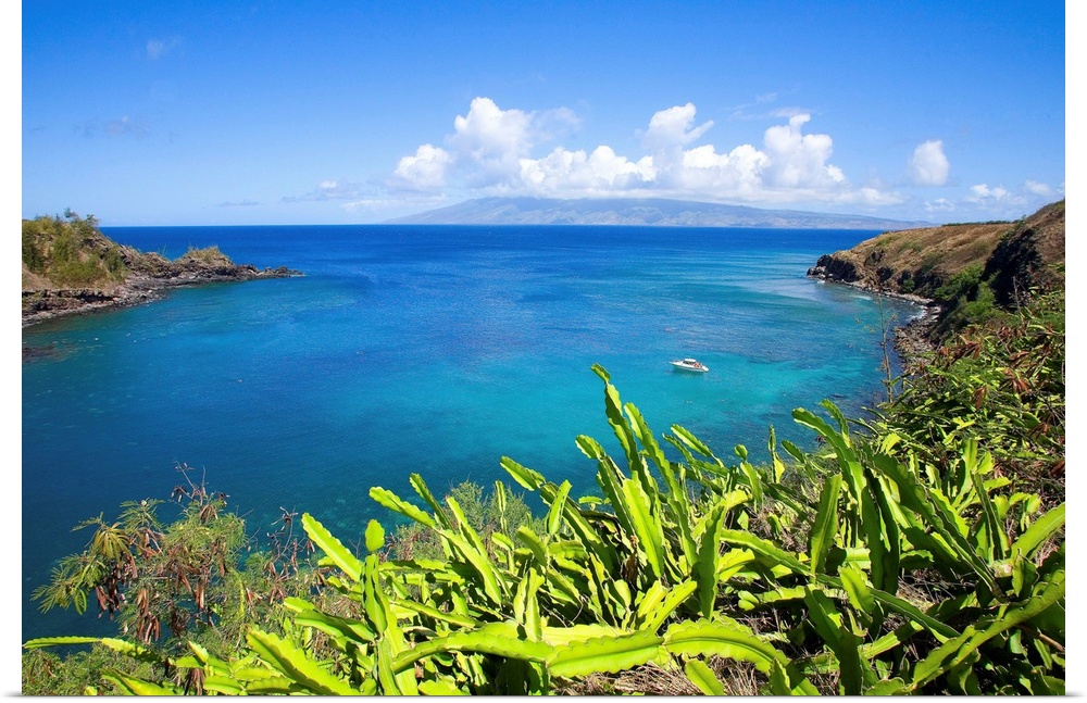Hawaii, Maui, Honolua Bay, Green Brush Overlooking Bright Blue Water
