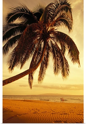 Hawaii, Maui, Kamaole Beach, At Sunset, Two Women Walk Along Shoreline