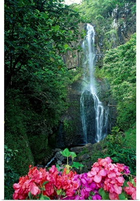 Hawaii, Maui, Wailua Waterfall And Rainforest