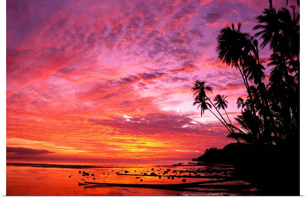 Photograph of shoreline covered in palm trees under a colorful cloudy sky at dusk.