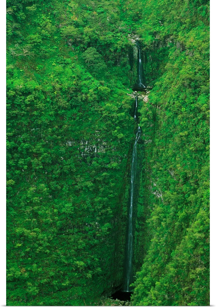 Hawaii, Molokai, Waikolu Valley, Waterfall From A Steep Rainforest Cliff