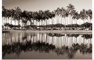 Hawaii, Oahu, Ala Moana Beach Park, Line Of Palm Trees And Reflections In Pond