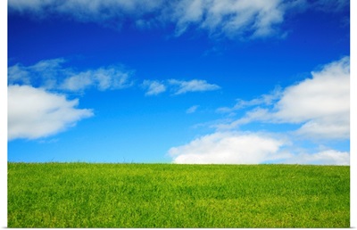 Hawaii, Oahu, Beautiful Landscape Of Green Grass And A Blue Sky