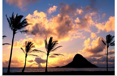 Hawaii, Oahu, Kualoa County Beach Park, Mokoli'i Island Silhouetted At Sunrise