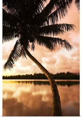 Hawaii, Oahu, Kualoa Ranch, Palm Tree At Sunrise, Sky Reflecting On Water