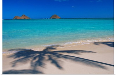 Hawaii, Oahu, Lanikai Beach, Palm Shadows On White Sand