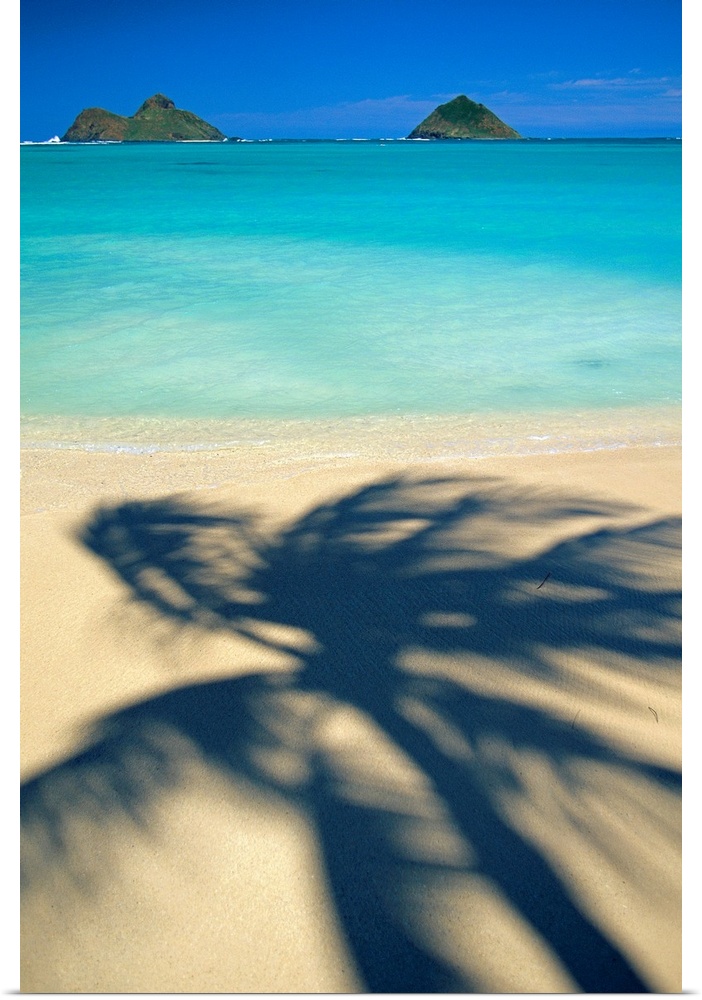 Portrait, oversized photograph of the shadow of a swaying palm tree on Lanikai Beach, the Mokulua Islands sit in the dista...