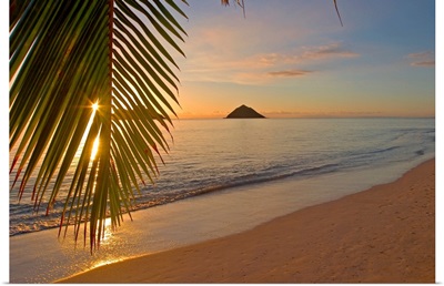 Hawaii, Oahu, Mokulua Islands, Golden Sunrise At Lanikai Beach