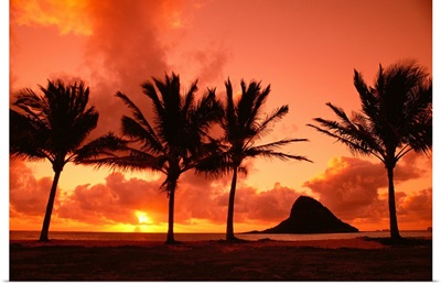 Hawaii, Oahu, Sunrise At Chinaman's Hat, Palms Silhouetted