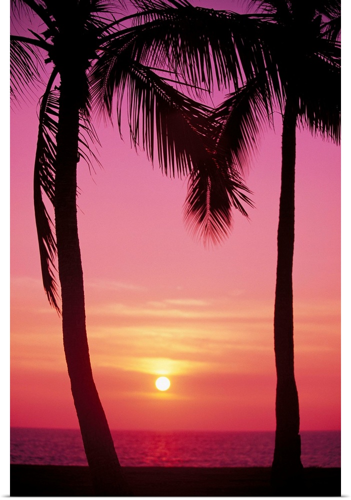 Hawaii, Oahu, Waianae Coast, View Of Sunset Between Two Palm Trees