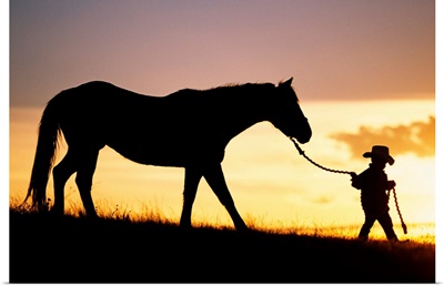 Hawaii, Silhouette Of Boy Leading Horse Along Grassy Hillside At Sunset