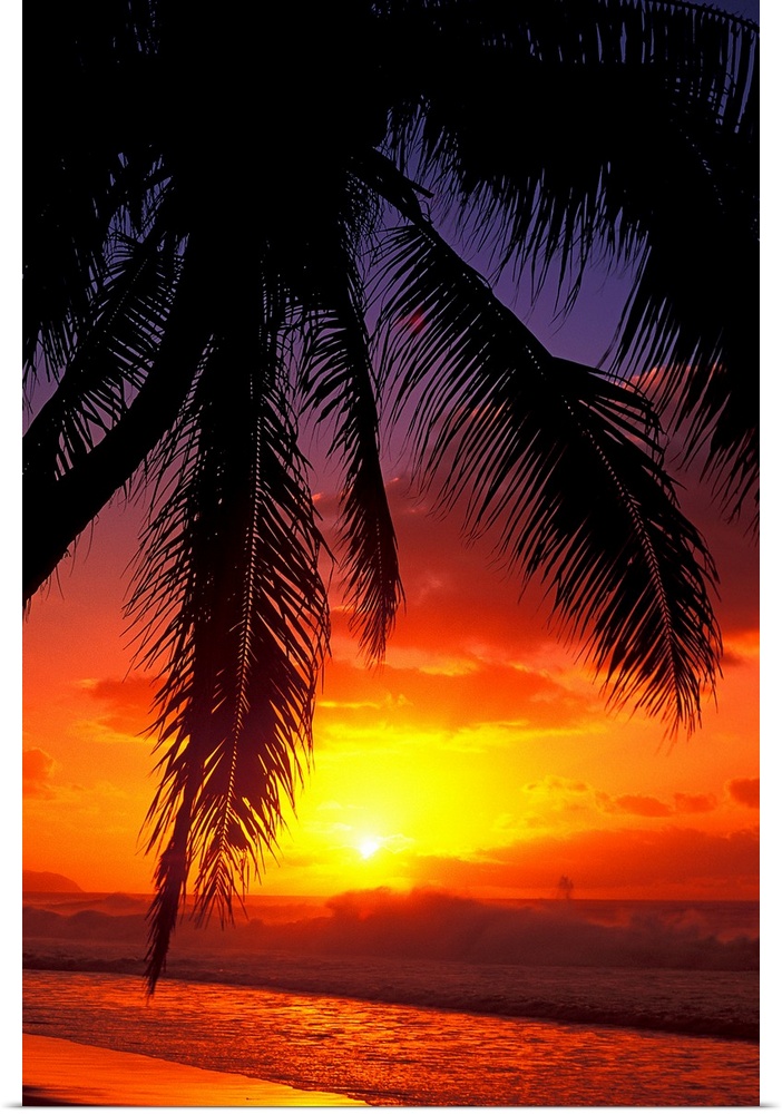Vertical, large photograph of the silhouette of a palm tree swaying over the shoreline in Hawaii, at sunset.